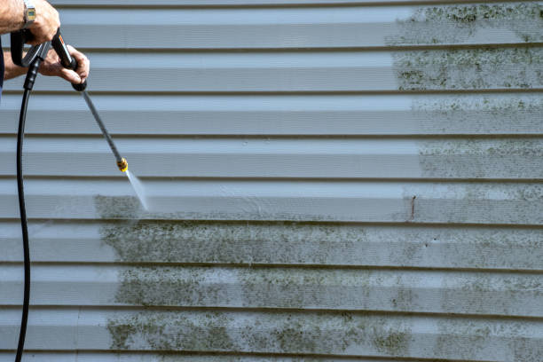 Best Historical Building Siding Restoration  in Nneconne, WI
