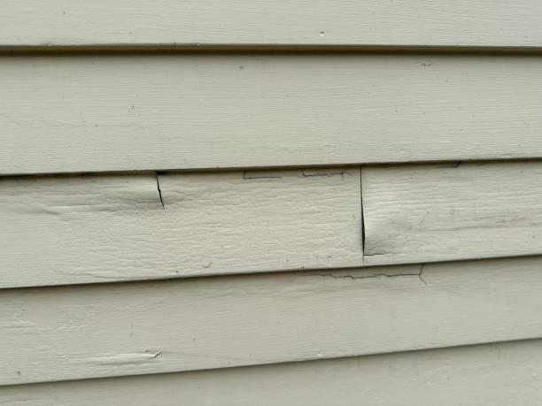  Nneconne, WI Siding Installation Pros