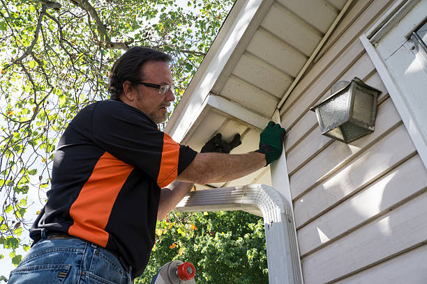 Best Storm Damage Siding Repair  in Nneconne, WI